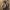 item.buttonTitle