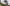 Napoleon_D_Image_8