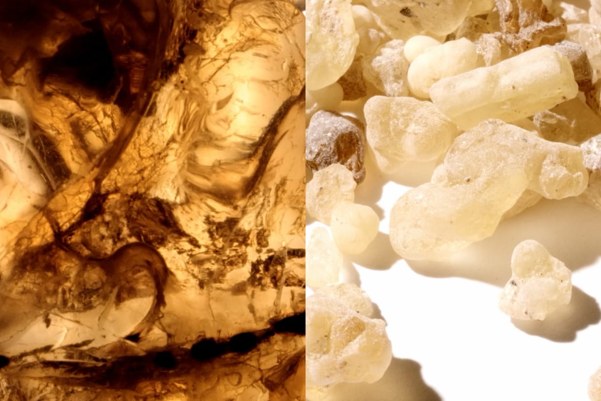 为了庆祝大班系列书写工具诞生一百周年，此款香氛主调为一种来自索马里的取自木树脂的熏香，象征着大班系列对于书写文化独一无二的存在，给这款香氛带来了力量和永恒感，隽永长存。海地香根草、印尼广藿香和龙涎香的加入像是助燃剂，激发出另一种独特珍贵的魅力