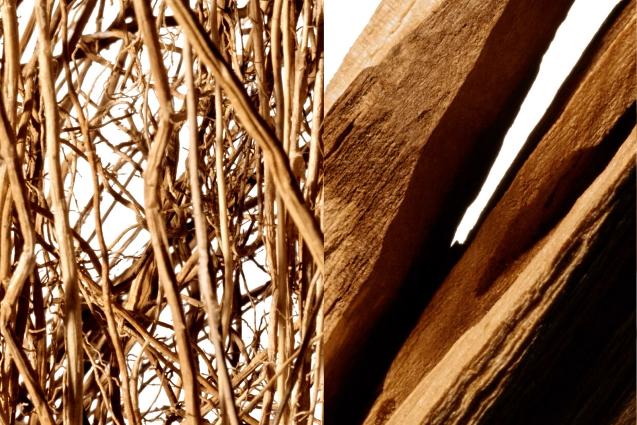 令人印象深刻的冰川、洁白的雪和冰冻檀香散发出浓郁的香根草香气，透露出高原的清新气息。