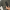 item.name