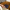 软皮精选系列8卡位钱夹 午夜蓝
