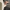大班系列6卡位卡片夹 象牙白